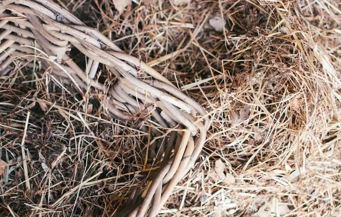Close-up of dried hay and a woven wicker basket amid straw, illustrating hay storage on a homestead.