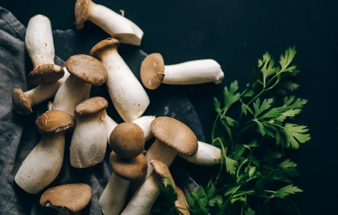 Assorted white mushrooms with brown caps on a dark surface, accompanied by a sprig of parsley