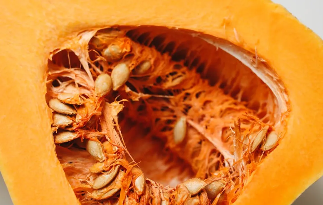 Cross-section of a pumpkin showing orange flesh and white seeds, illustrating pumpkin prepared for feed on a mixed-use homestead.