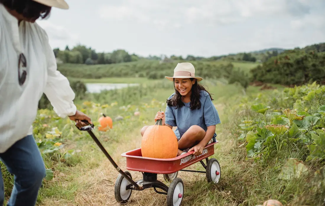 A person pushes a wagon with a large pumpkin while a child sits inside the wagon in a pumpkin field, with other pumpkins and greenery in the background.