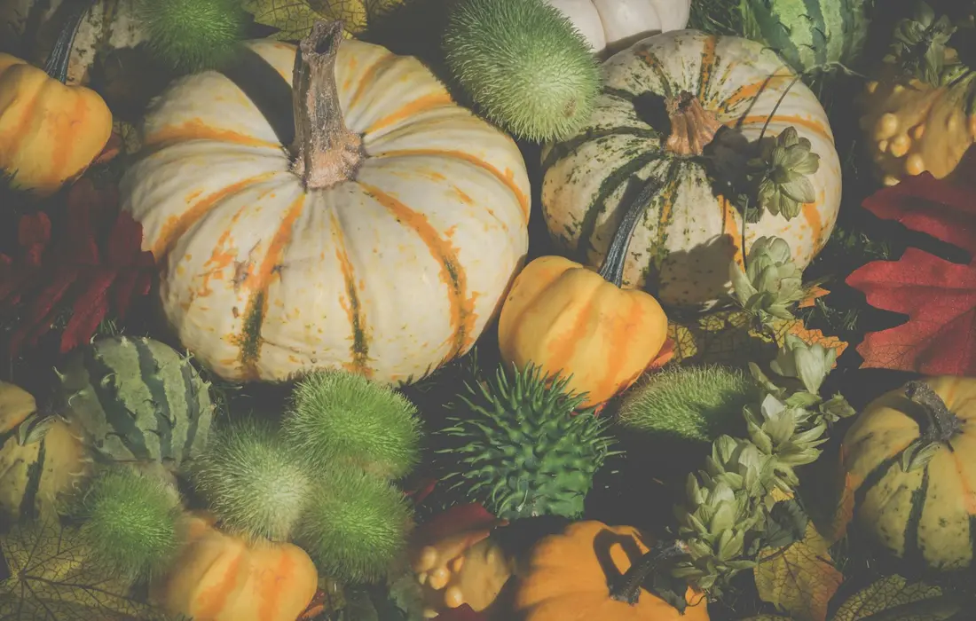 A diverse pile of pumpkins and gourds in autumn colors, ready for harvest storage