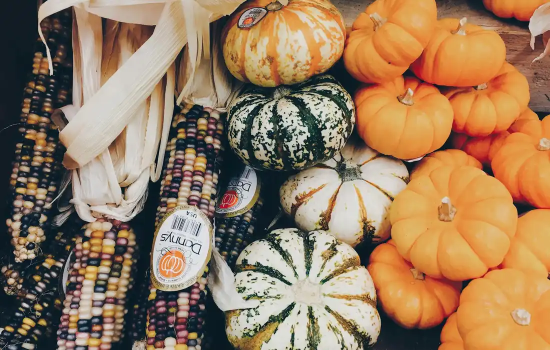 Orange pumpkins and multicolored Indian corn on display in a harvest setting.