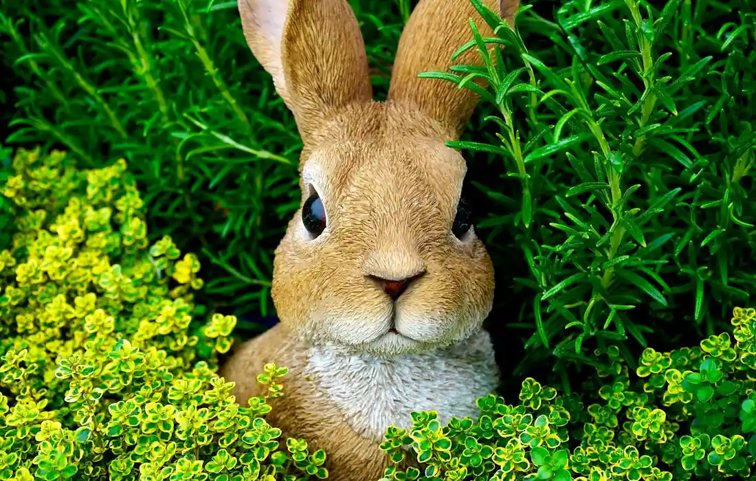 A rabbit peeks through dense green garden herbs, surrounded by leafy foliage.