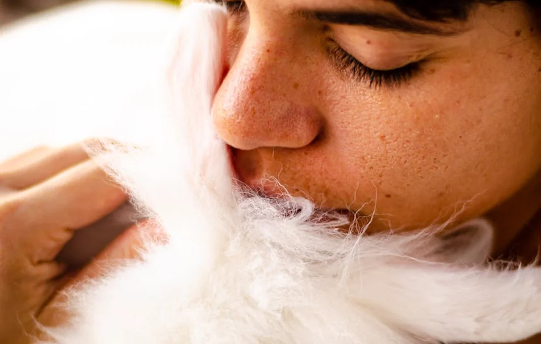 Close-up of a person kissing a fluffy white rabbit.