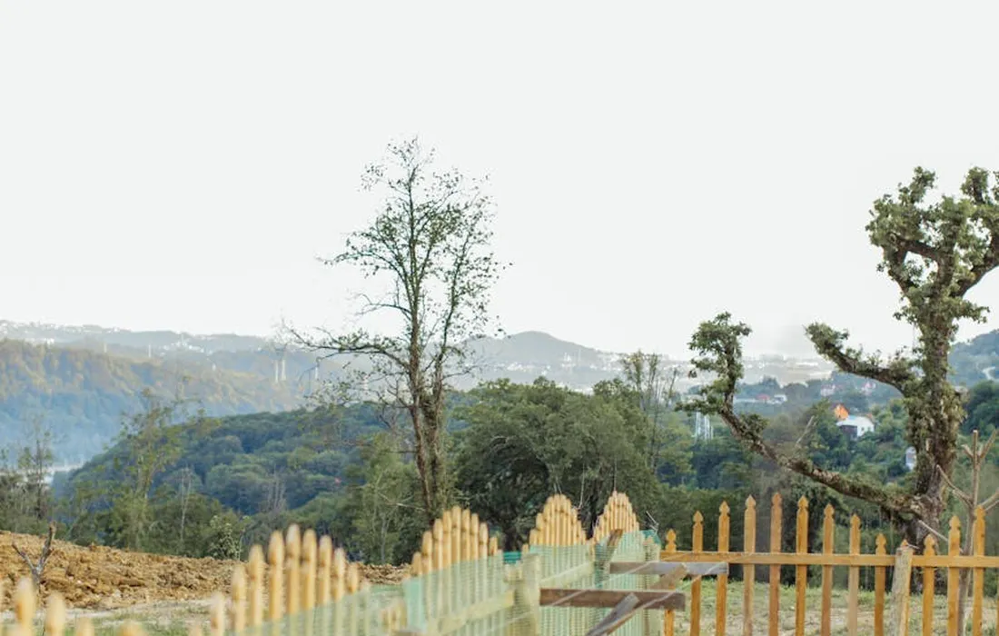 A rural hillside garden with a wooden picket fence and scattered trees, illustrating gaps in barriers that allow rabbits to breach defenses