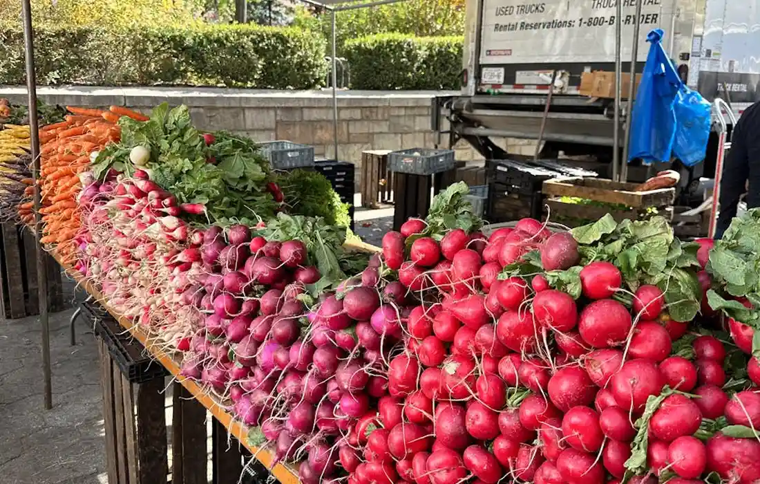 Fresh radishes with leafy greens on display at an outdoor market.
