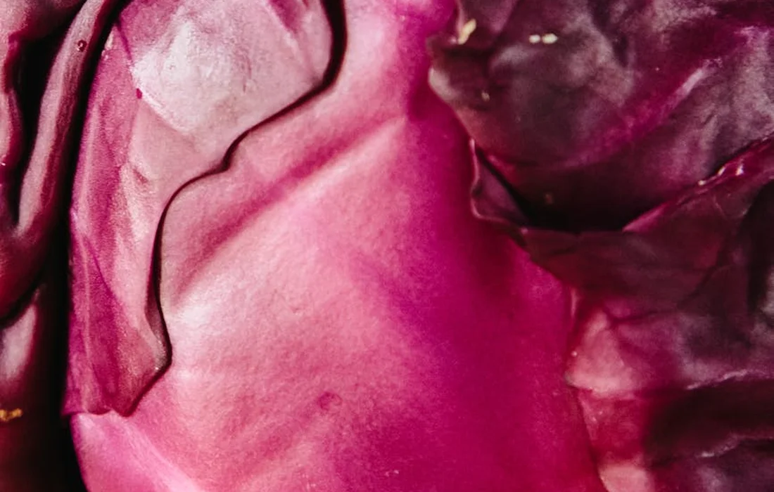 Close-up of fresh red cabbage leaves with vibrant purple-pink hues