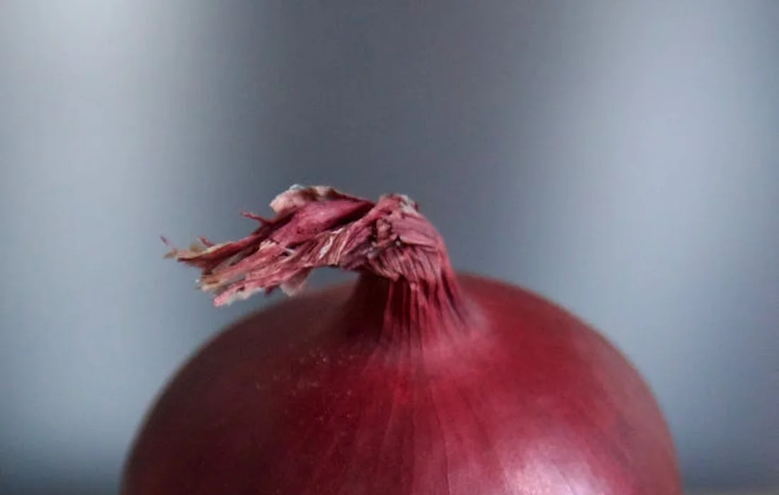 Close-up of a red onion