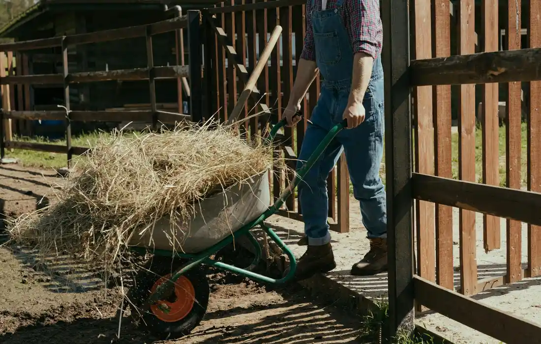 Person in overalls and boots standing beside a wheelbarrow filled with hay near a wooden fence on a farm