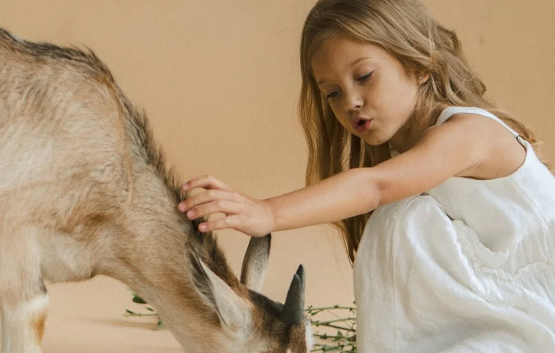 A young girl kneels beside a goat, gently offering food, illustrating thrifty feeding practices.