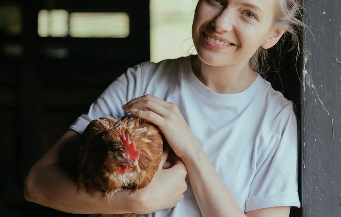 A smiling person in a white t-shirt holding a brown chicken inside a barn.