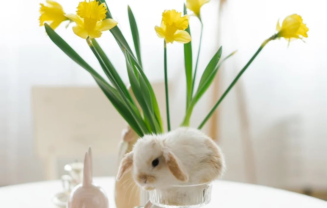 A small white rabbit sits near bright yellow flowers in a glass vase on a white table, with a soft, sunlit background.