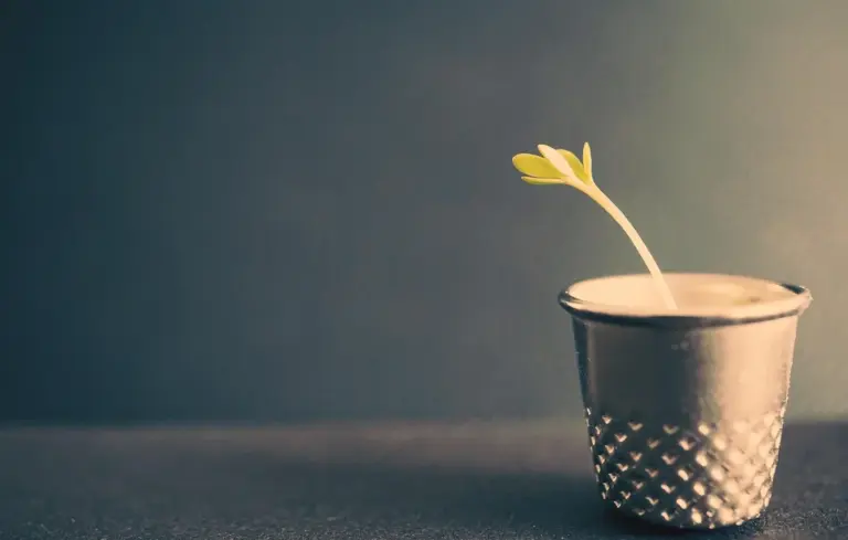 A tiny green sprout growing from soil in a small black textured pot on a dark surface with a blue-gray background.