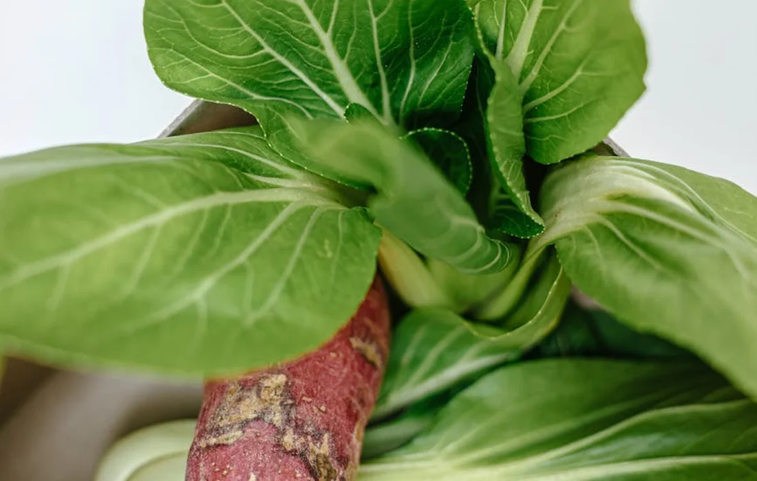 Fresh green leafy vegetables with a purple-skinned sweet potato root, showing edible plant parts considered in rabbit diets.