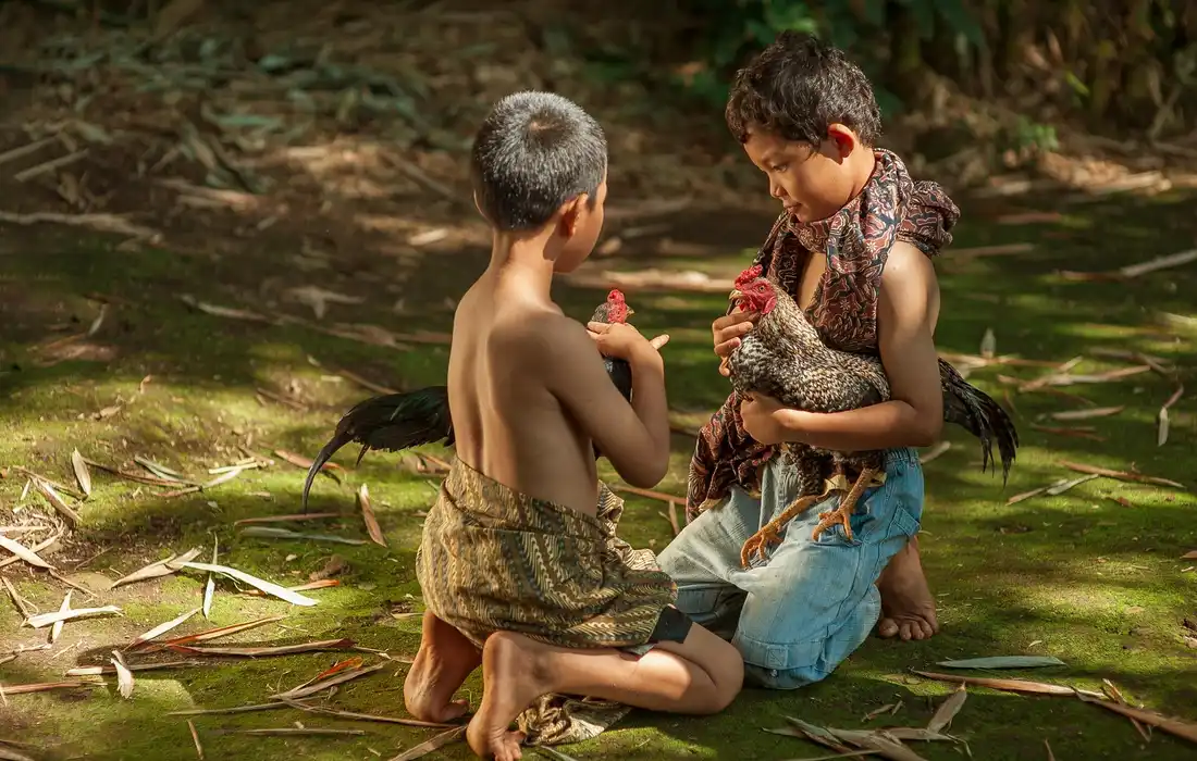 Two barefoot children sit on the ground in a shaded yard, one holding a chicken between them as they examine kitchen scraps and natural debris.