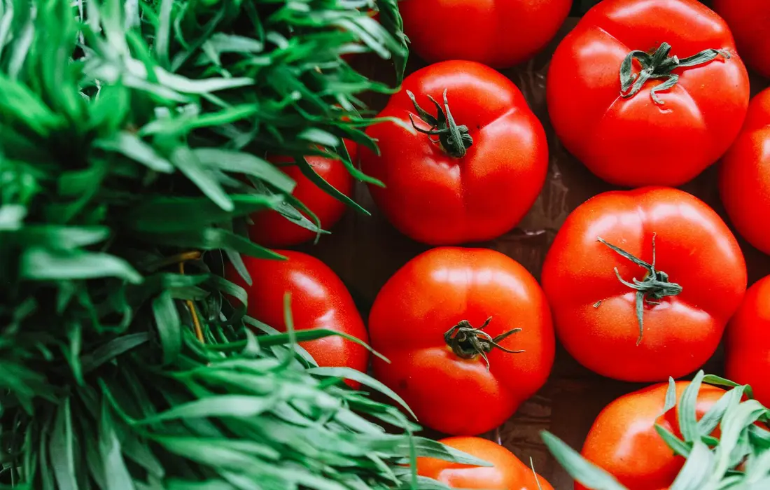 Close-up of ripe red tomatoes with green herbs on a wooden surface