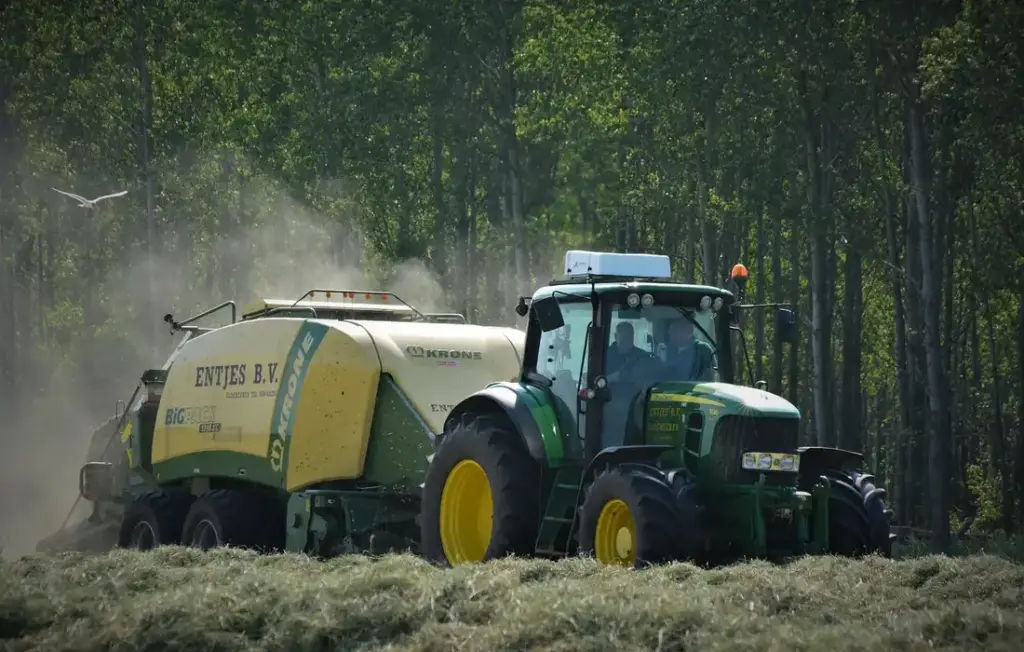 How to Cut Costs on Cattle Feed: Efficient Feeding Strategies and Alternatives