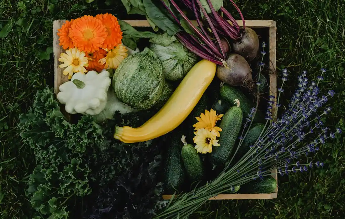 A wooden crate filled with colorful vegetables and herbs, including orange and yellow flowers, green squash, round beets, and purple lavender sprigs, laid on dark grass.