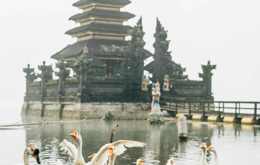A misty lake scene with several white geese in the foreground and a traditional tiered pagoda-style structure on a small island in the water.
