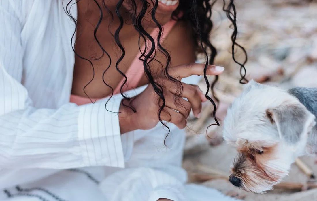 Close-up of a person with long curly hair gently holding the paw of a small white and gray dog.