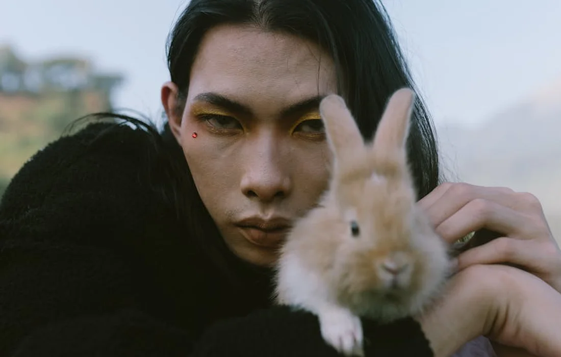 Close-up of a person gently holding a fluffy baby rabbit toward the camera.